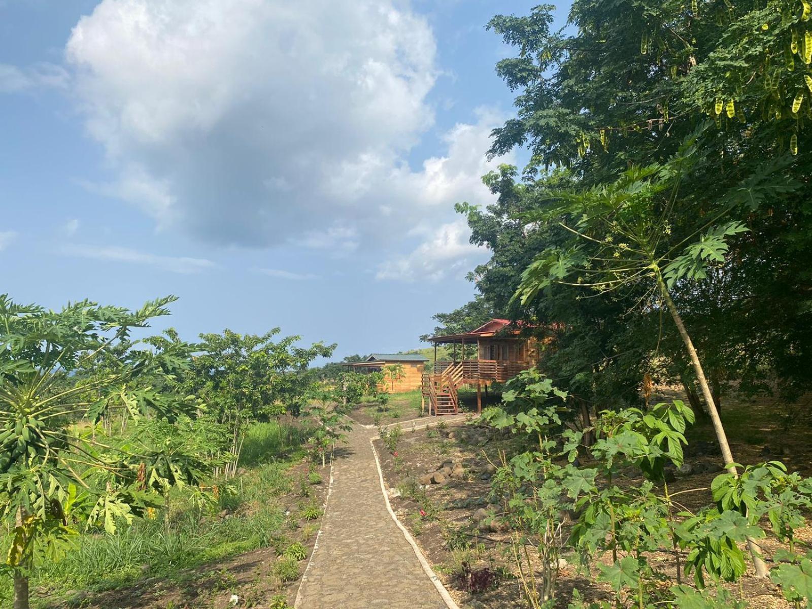Monte Mar Saotome Villa Morro Peixe Luaran gambar